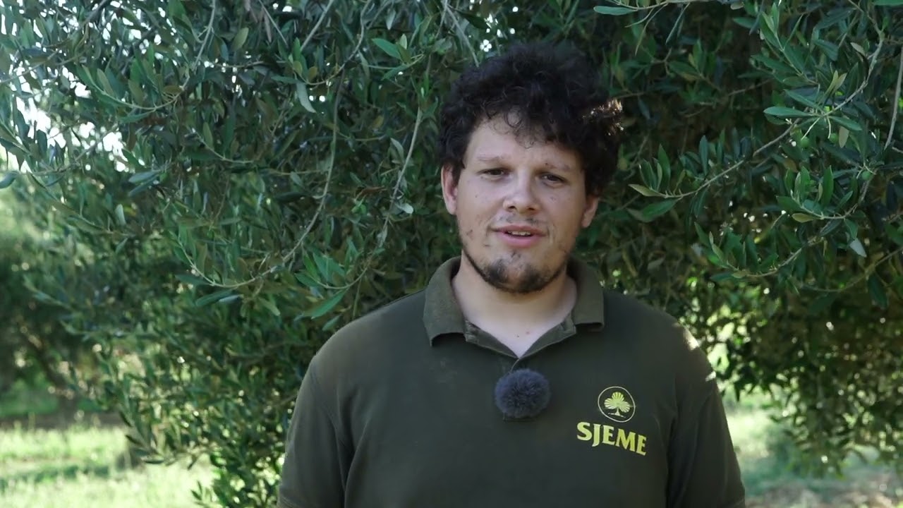 Sjeme  d.o.o  folijarna gnojiva i  primjena Manisol