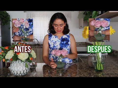 Vídeo: Como Reavivar Flores