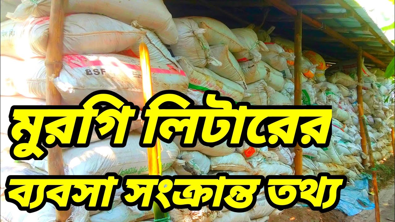 মুরগির বিষ্ঠার মার্কেটিং। Murgir Litter Business Ideas Bengali