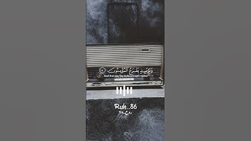 حالات واتس🌼قرآن كريم🌼سورة الـشعراء🌼 حالات واتس اب🌼 - بصوت القارئ ياسر الدوسري🎙