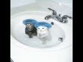 CAT EDITZ [CATKENZOEDIT]