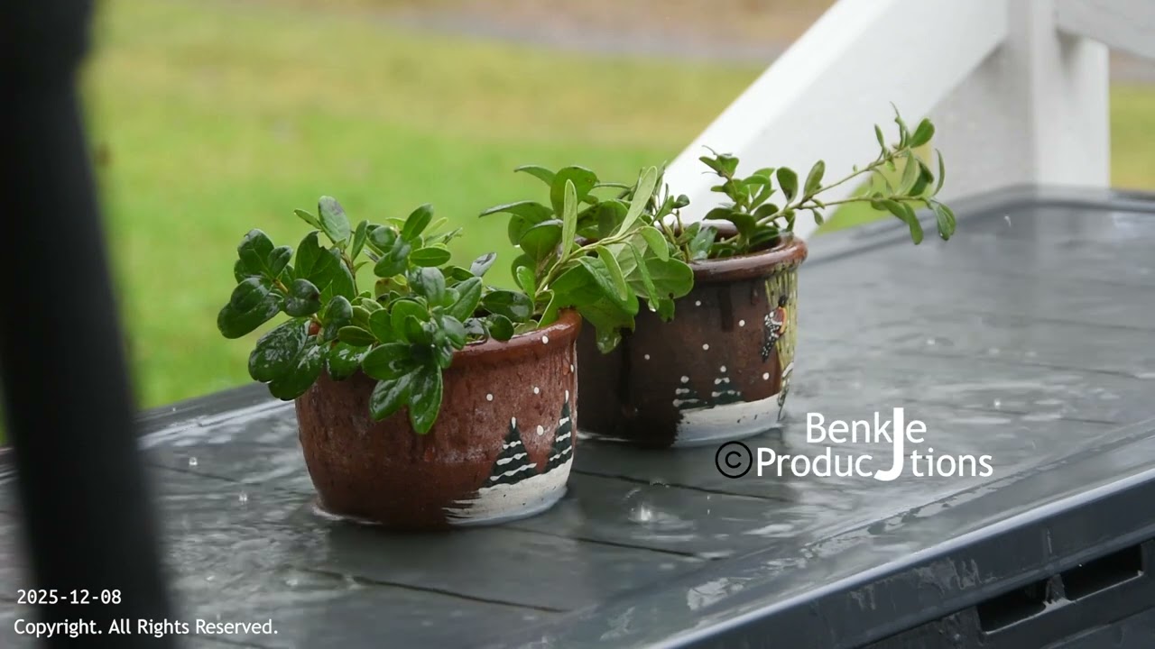 Avkopplande regn (2025-12-08)