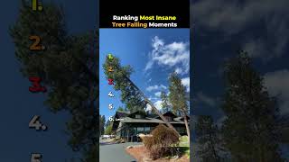 Ranking Most Insane Tree Falling Moments