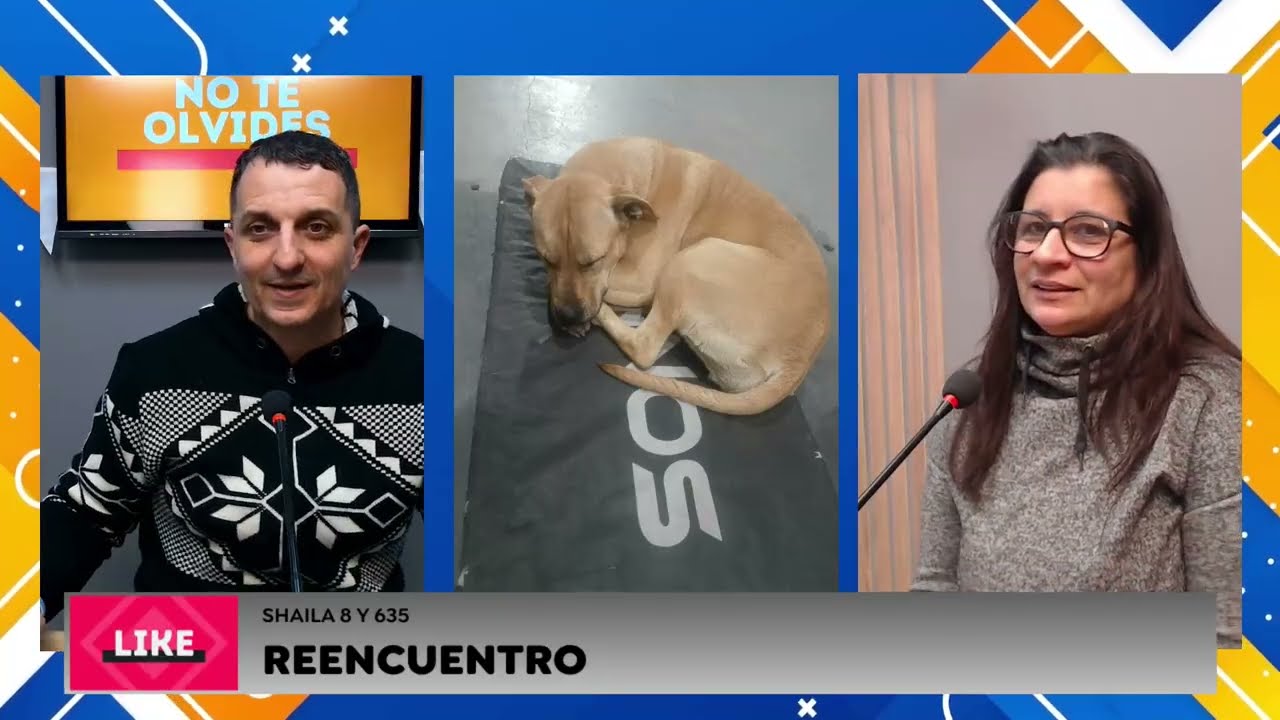 Sigo tu Huella 24/6
