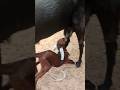 مشهد دافئ يلامس القلوب في ش ه ر ات ل 