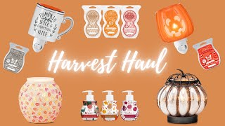 Harvest Haul | Warmer Unboxing | First Sniff Session
