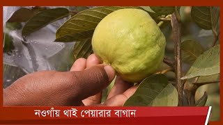 থই পযরর বগন কর দষটনত সথপন নওগর যবক রযহনর 26Jan.22