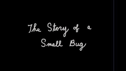 THE STORY OF A SMALL BUG