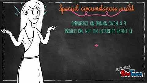 Audit ASSIGNMENT LU11