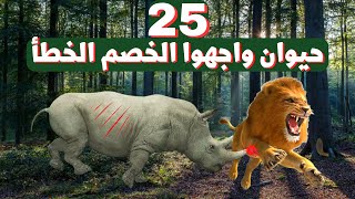 25 حيوان واجهوا الخطم الخطأ مش هتصدق رد فعل الحيوانات P1