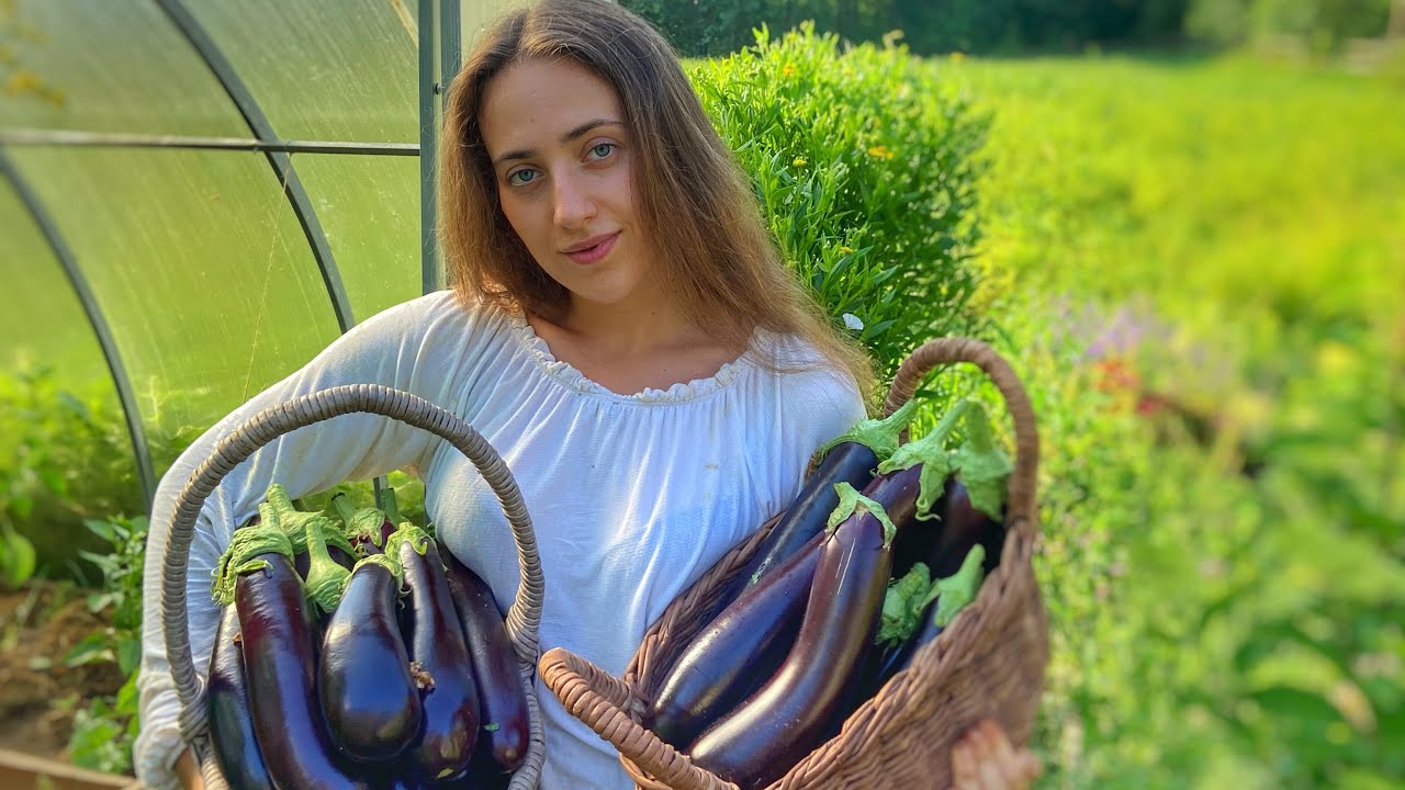 Entering the Last Month of Summer | July's Gale, Harvest and My Mum's ...