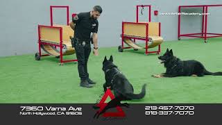 Welcome to Delta K9 Academy
