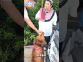 三代出遊全失控！幕後花絮比正片精彩🤩 #食尚玩家我們這一家 #林美秀 #張再興 #Ozone #李哲言
