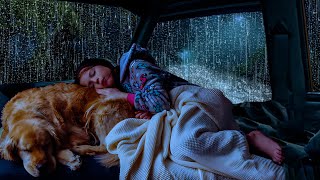 99% Instantly Fall Asleep With Rain Sound outside the window - Thunder sounds at night to Sleep Fast