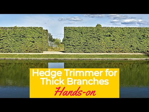 Best Hedge Trimmer for Thick Branches in 2022