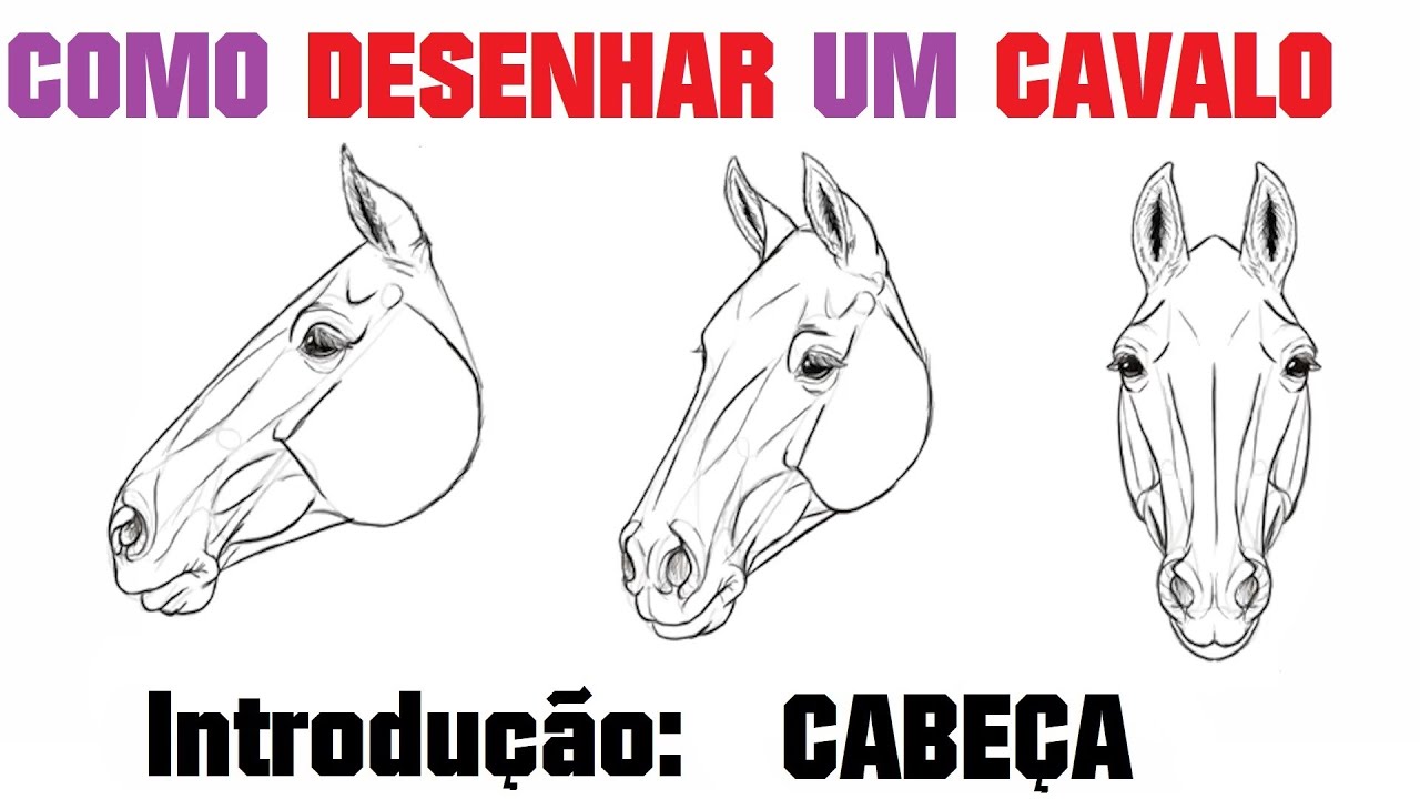 Como desenhar um cavalo: Cabeça - Introdução 01 