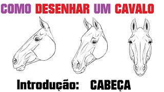 Como desenhar um cavalo de frente - Como desenhar