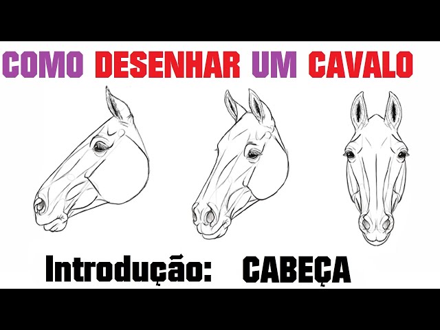 Como desenhar um cavalo: Cabeça - Introdução 01 