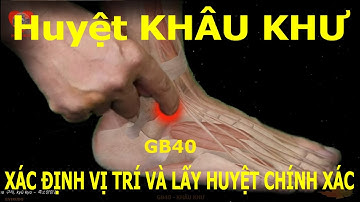 GB40 | Huyệt Khâu khư | Kinh Túc thiếu dương đởm | Acupoint VIKUDO