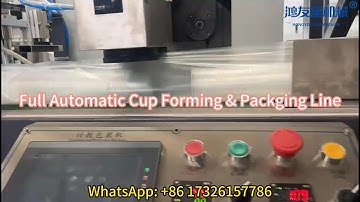 Fully Servo-Driven Cup Making Machine With Auto-Stacking & Packaging.
