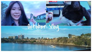 澳洲Vlog|律所工作內容分享與小確幸日常 Finding Warmth Between Work and Everyday Moments