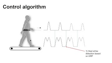 Dynamic Walking Conference 2018, By: Arash M. Gonabadi et al.