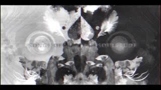 Dream on Dreamer - Vertigo