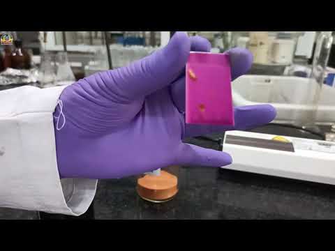 Video: Hur fungerar anisaldehydfärgning?