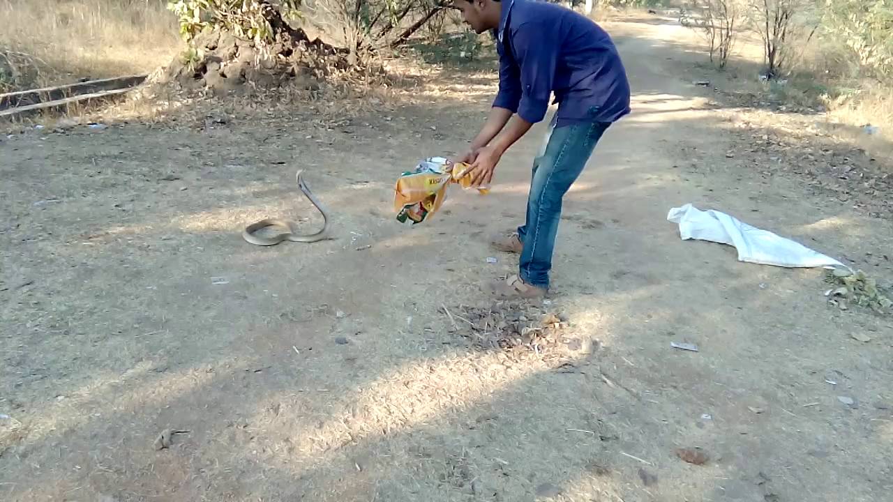 camera iphone 8 plus apk Dheeraj releasing a cobra_Nizamabad