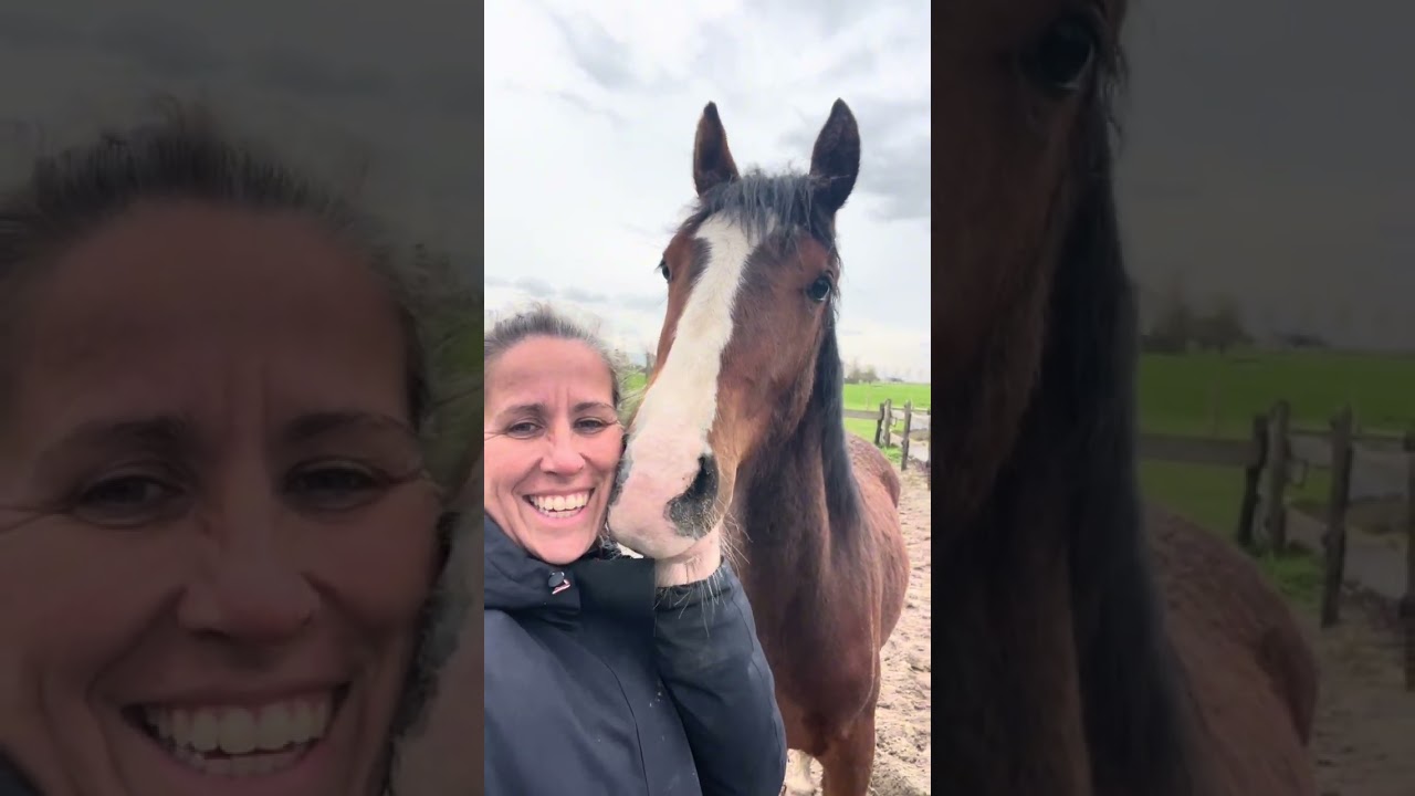 Kijk eens wie er terug is !! Herkennen jullie haar nog ? #horses #paarden #equestrian