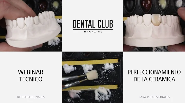 Perfeccionamient...  de la Porcelana - Webinar Onl...