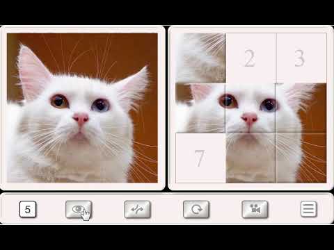 Guess the Cat: Tile Puzzle