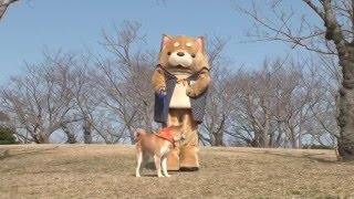 YouTube公式チャンネル 更新中! https://www.youtube.com/user/hayatop...