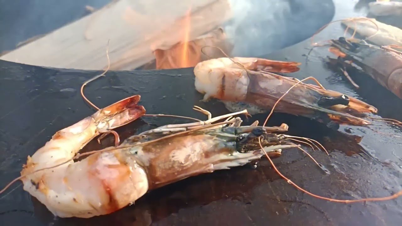 Quoco, de veelzijdige manier van buitenkoken.