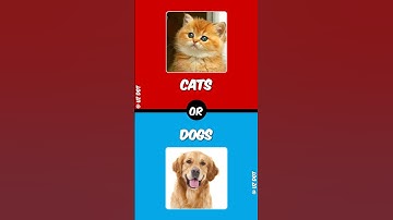 Would You Rather (Hard Edition Part5)#choices #quiz #tiktok #wouldyourather#thisorthat