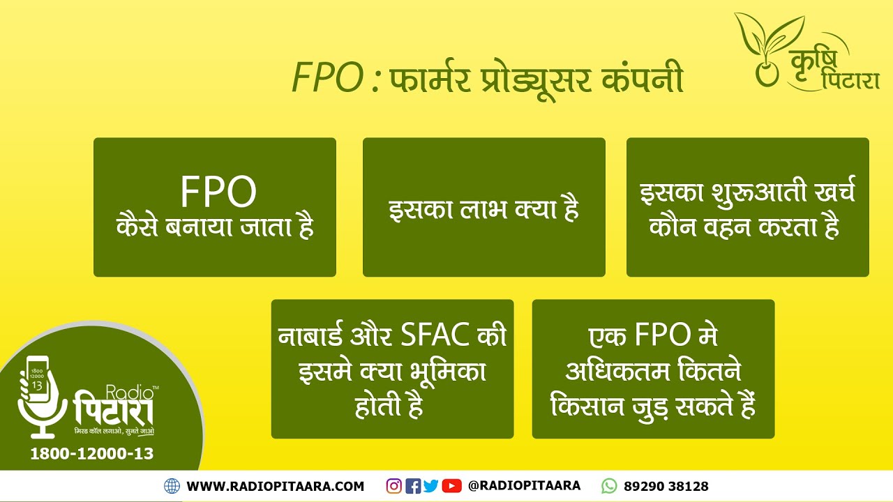 fpo business plan in hindi