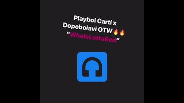 (NEW) Playboi Carti - Whole Lotta Red (feat. Dopeboiavi) SNIPPET 2018