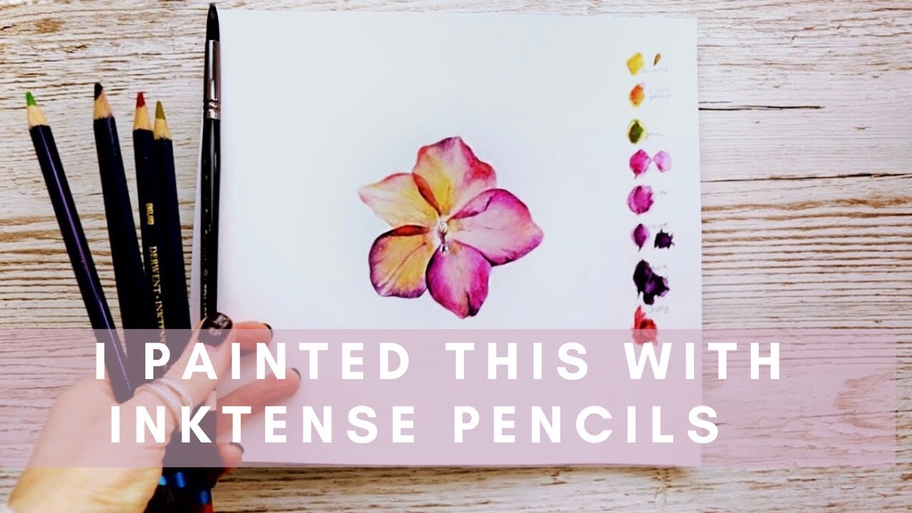 Derwent Inktense Pencil Thistle - The Art Store/Commercial Art Supply