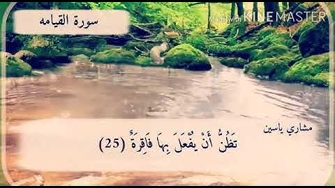 #تلاوة #القارئ #مشاري_ياسين #اذكروا_الله #قرآن