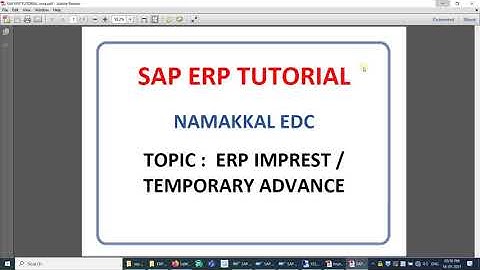 NEDC SAP ERP IMPREST & TEMPORARY ADVANCE OPENING