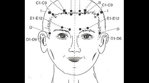 Urinary bladder channel locations 36-67 CALE and NCCAOM