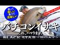 楽しすぎる!【バチコンイサキ】/タックル・仕掛け・釣り方全部教えます! #バチコンイサキ #バチコン #ゼスタ #奥津剛
