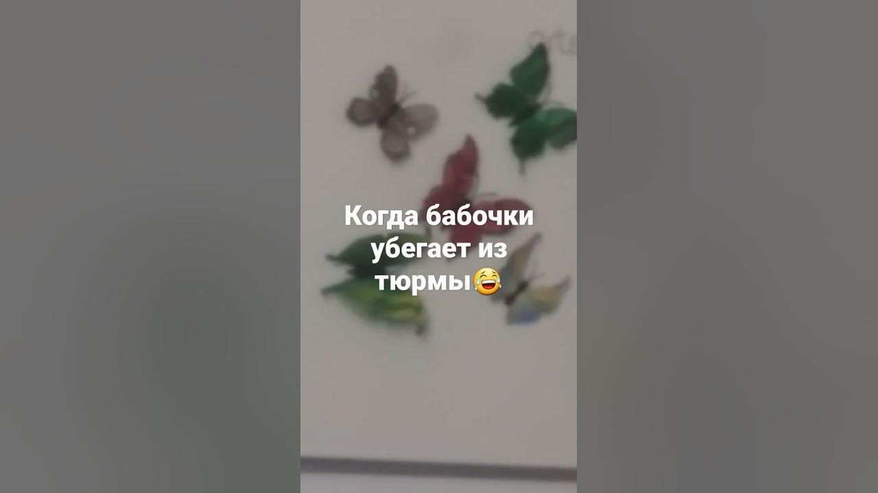 заключённые убегают из тюрмы👮 - YouTube