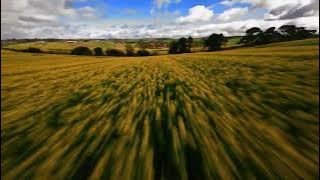 iwilldiehere   Vengeance ceres