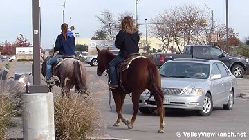 CSV Especial Jackie - Tequila  ***For info, price, etc., go to our website*** Valley View Ranch