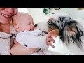 This Baby Loves Her Puppy! (super cute reaction)