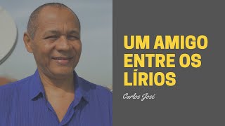 UM AMIGO ENTRE OS LÍRIOS - 344 - HARPA CRISTÃ - Carlos José chords