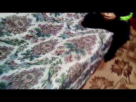 Мой жук проснулся