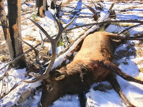 7-epic-kills-in-5-minutes!!!---limitless-48