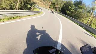 POV: following the flock on mountain roads YAMAHA MT-07 2022 AKRAPOVIC + QUICKSHIFTER by STEVIE G 89 99 views 6 months ago 4 minutes, 11 seconds